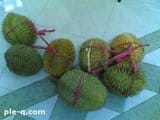 Pesta Duren di Kantor