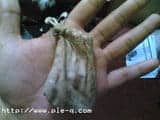 Al-Qur'an Mini