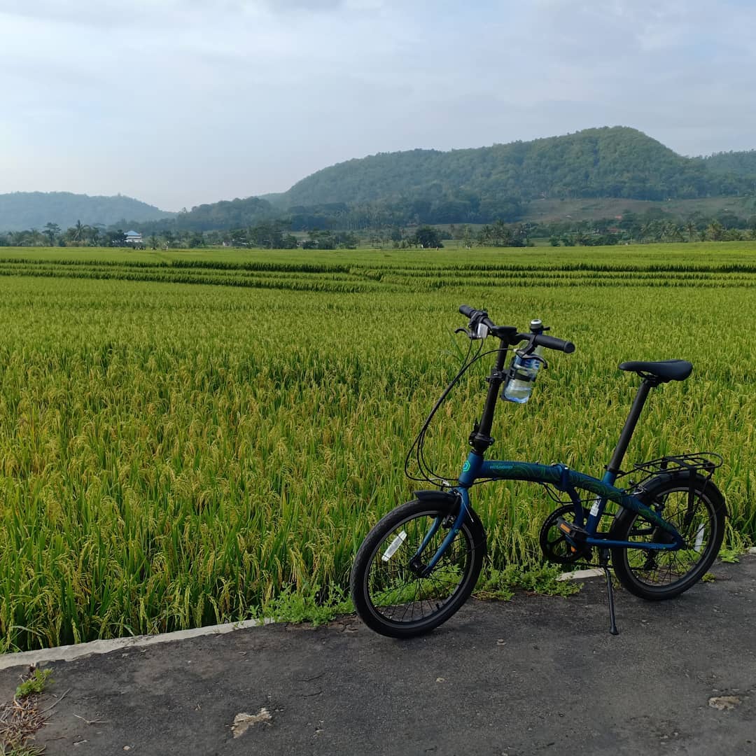 Bersepeda Untuk Pemula 1 Bersepeda Untuk Pemula